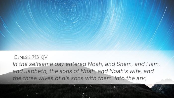 Genesis 7:13 Bible Commentary