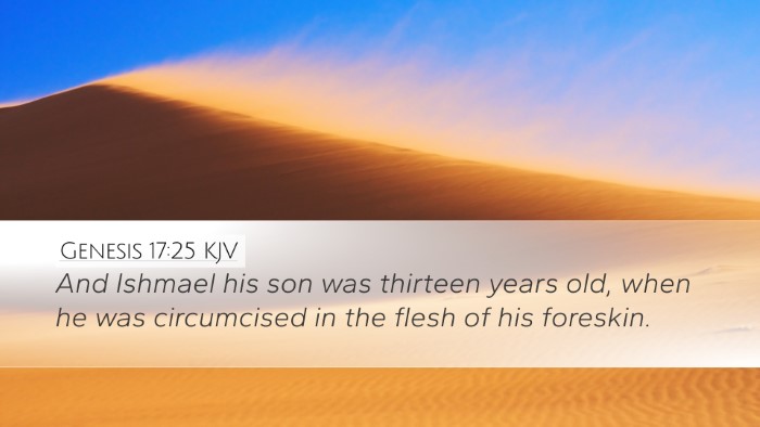 Genesis 17:25 Bible Commentary