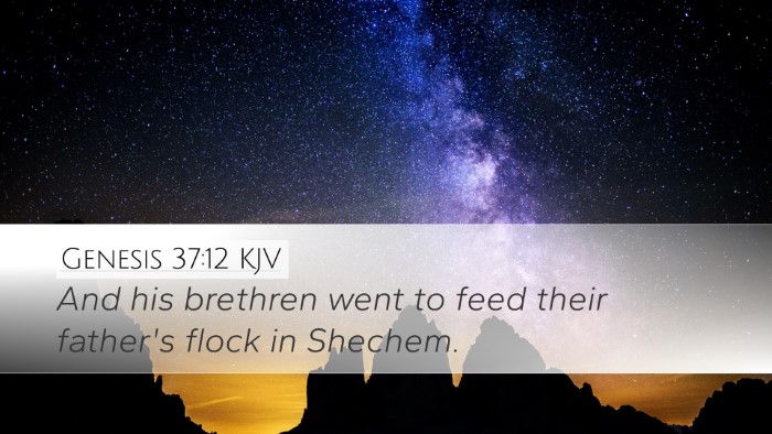 Genesis 37:12 Bible Commentary