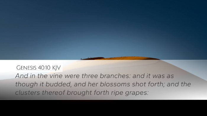 Genesis 40:10 Bible Commentary