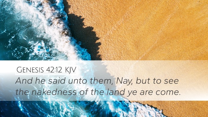 Genesis 42:12 Bible Commentary