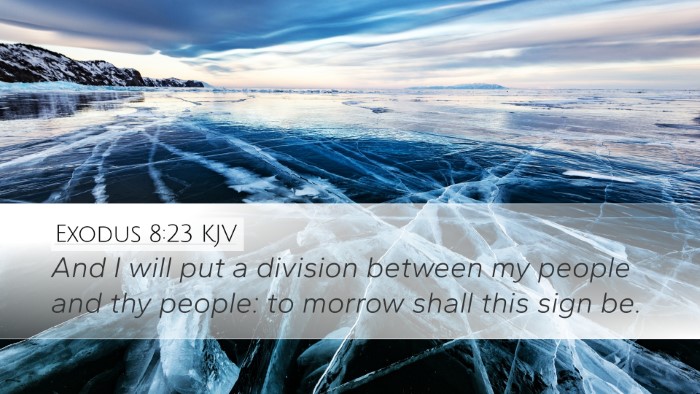 Exodus 8:23 Bible Commentary