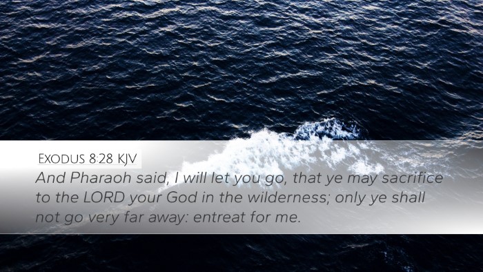 Exodus 8:28 Bible Commentary