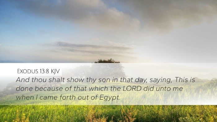 Exodus 13:8 Bible Commentary