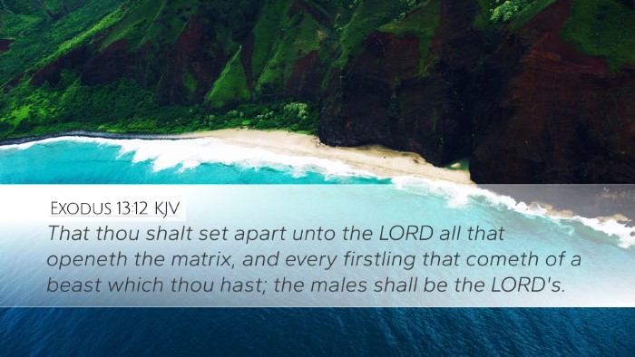 Exodus 13:12 Bible Commentary