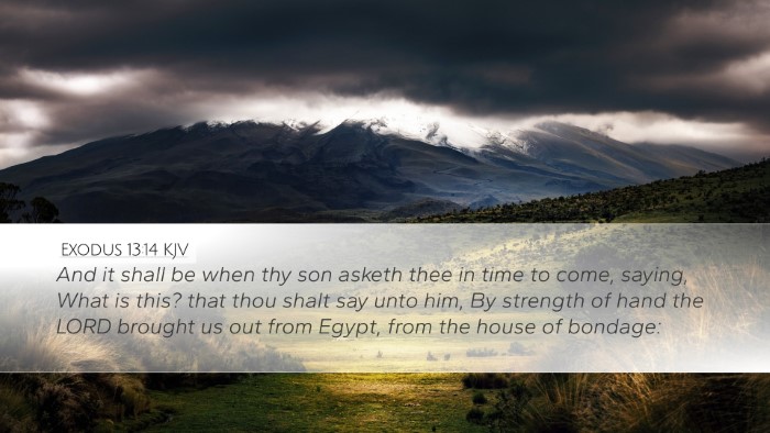 Exodus 13:14 Bible Commentary