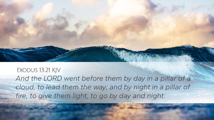 Exodus 13:21 Bible Commentary