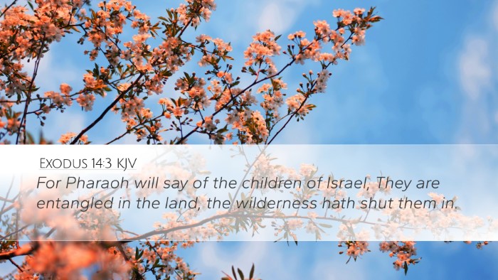 Exodus 14:3 Bible Commentary