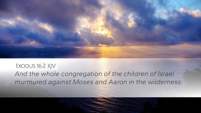 Exodus 16:2 Bible Commentary