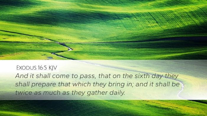 Exodus 16:5 Bible Commentary