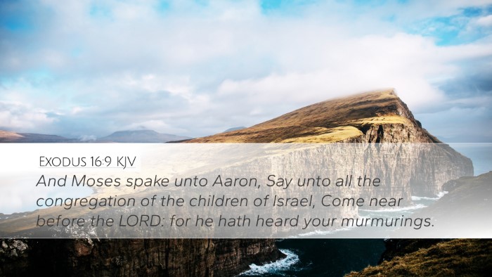 Exodus 16:9 Bible Commentary