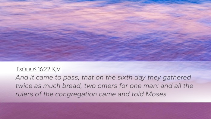 Exodus 16:22 Bible Commentary