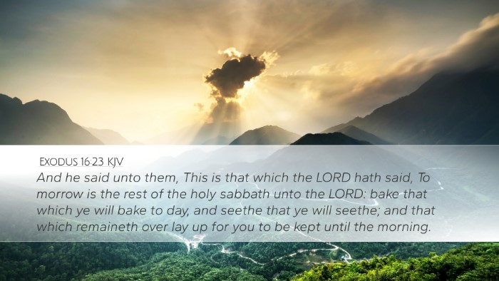 Exodus 16:23 Bible Commentary