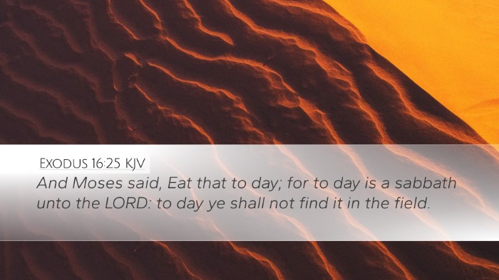 Exodus 16:25 Bible Commentary