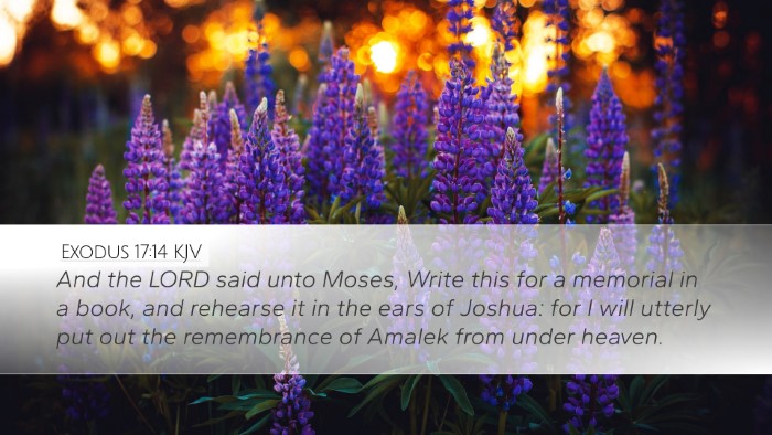 Exodus 17:14 Bible Commentary