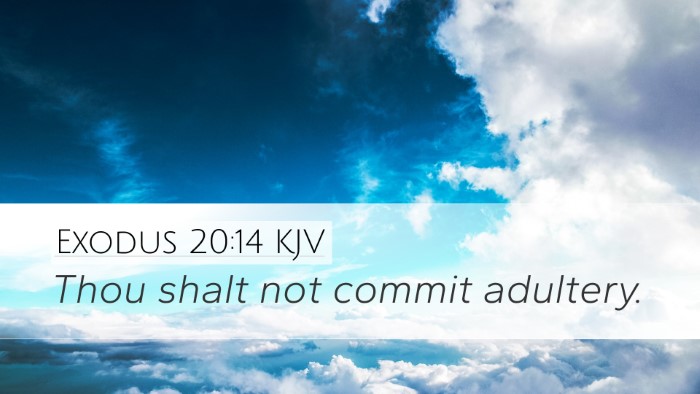 Exodus 20:14 Bible Commentary