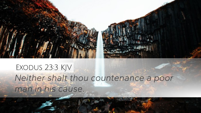 Exodus 23:3 Bible Commentary