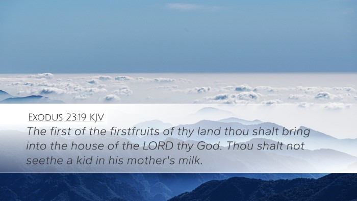 Exodus 23:19 Bible Commentary