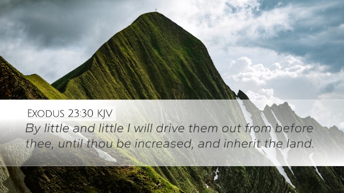 Exodus 23:30 Bible Commentary