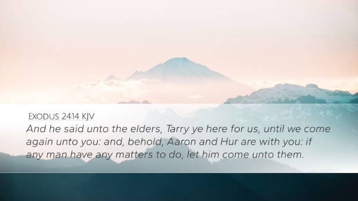 Exodus 24:14 Bible Commentary