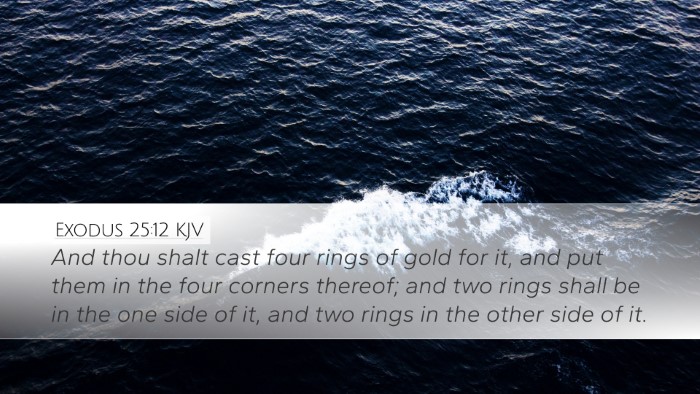 Exodus 25:12 Bible Commentary