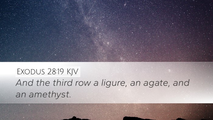 Exodus 28:19 Bible Commentary