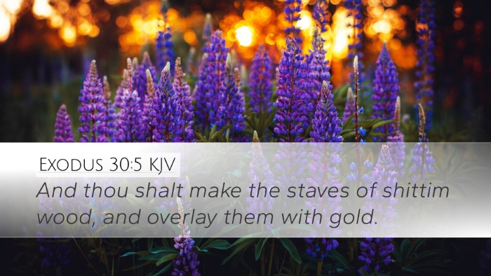 Exodus 30:5 Bible Commentary