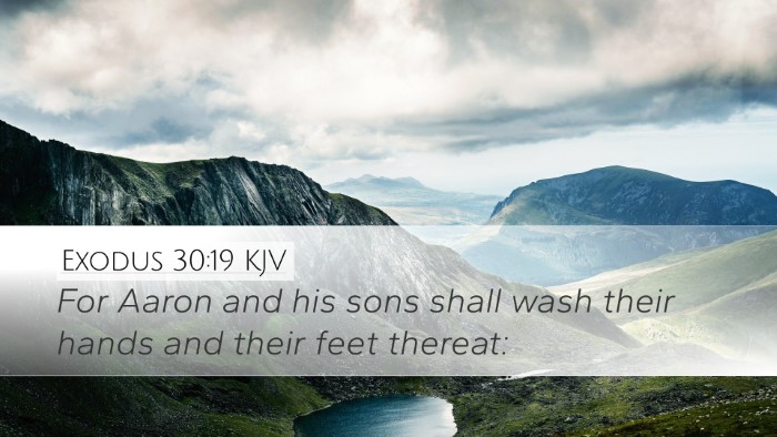 Exodus 30:19 Bible Commentary