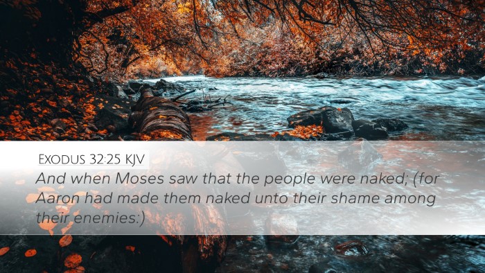 Exodus 32:25 Bible Commentary