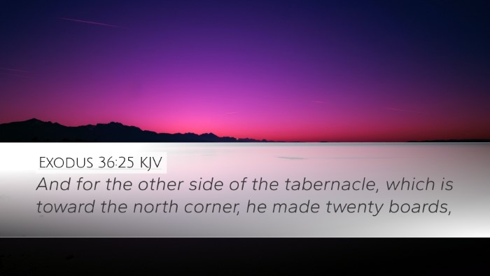 Exodus 36:25 Bible Commentary