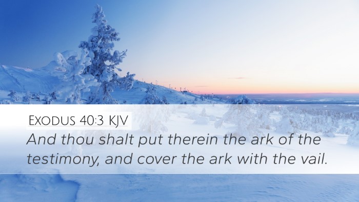 Exodus 40:3 Bible Commentary