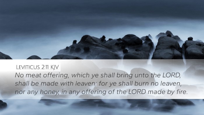 Leviticus 2:11 Bible Commentary