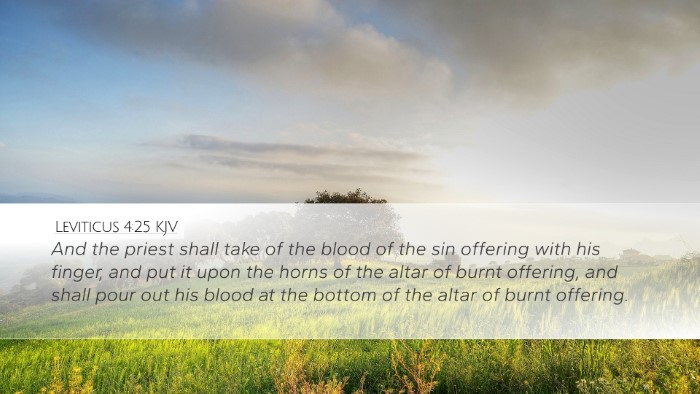 Leviticus 4:25 Bible Commentary