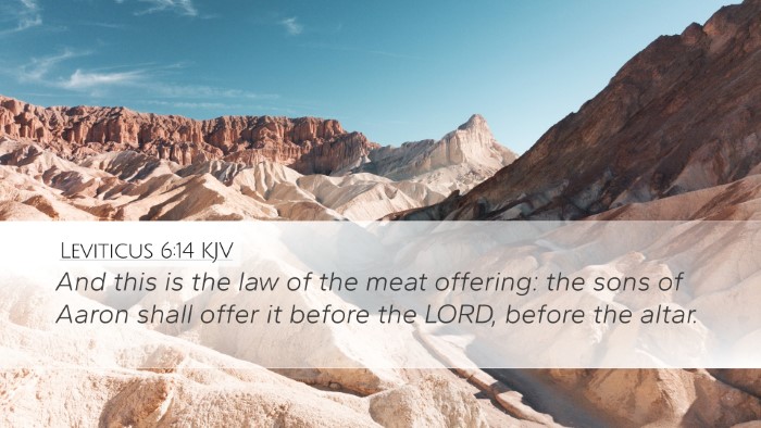 Leviticus 6:14 Bible Commentary