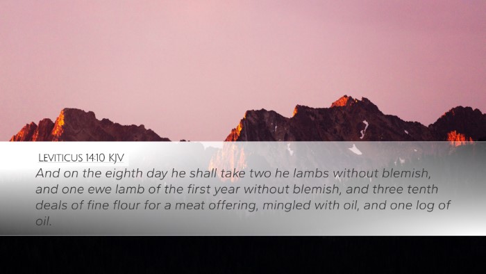 Leviticus 14:10 Bible Commentary