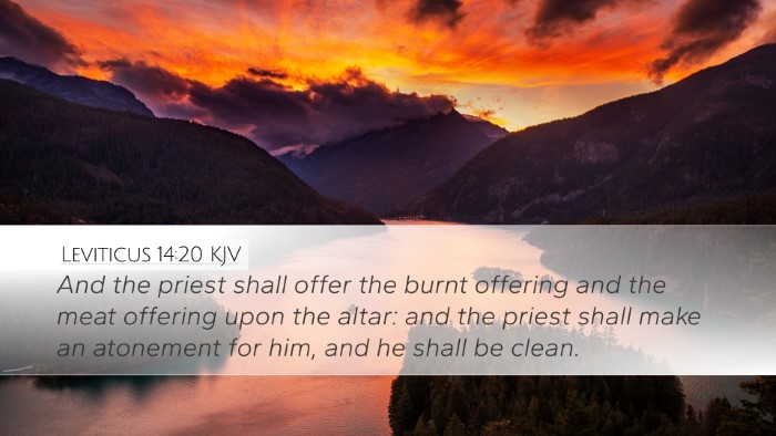 Leviticus 14:20 Bible Commentary