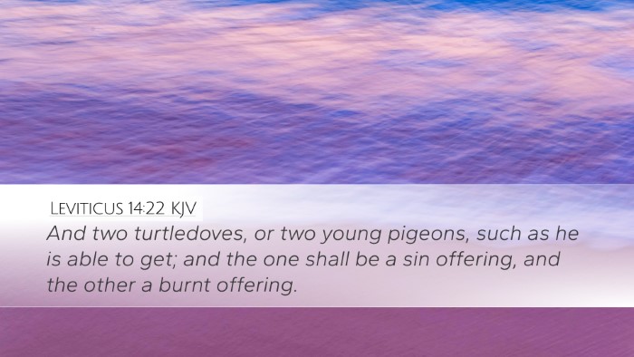 Leviticus 14:22 Bible Commentary