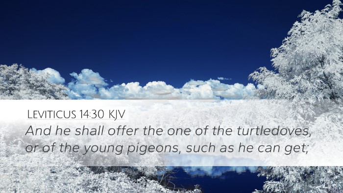 Leviticus 14:30 Bible Commentary