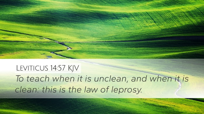 Leviticus 14:57 Bible Commentary