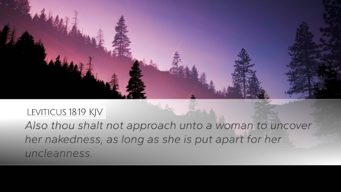 Leviticus 18:19 Bible Commentary