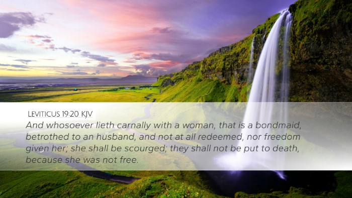 Leviticus 19:20 Bible Commentary