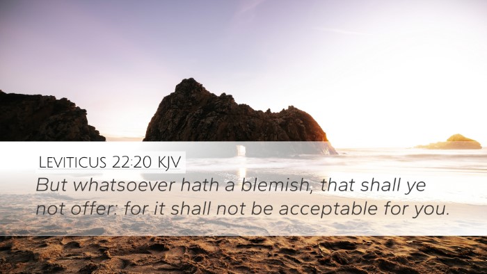 Leviticus 22:20 Bible Commentary