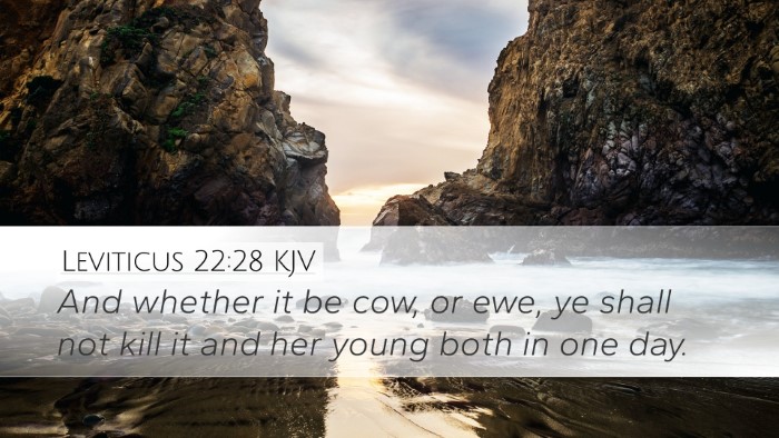 Leviticus 22:28 Bible Commentary