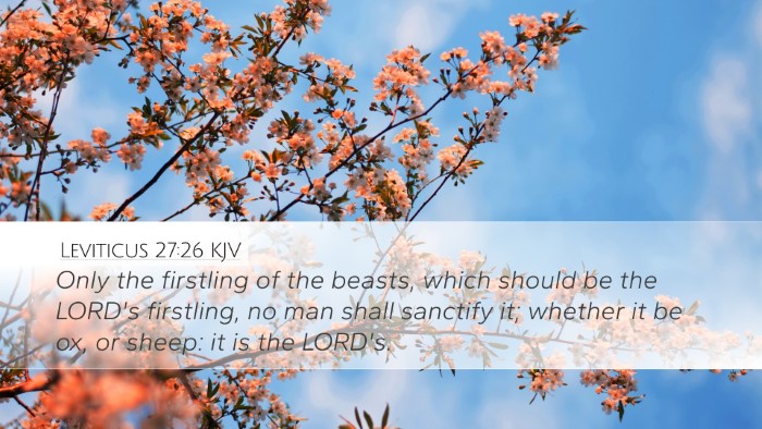 Leviticus 27:26 Bible Commentary