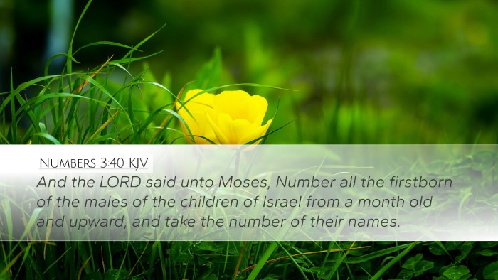 Numbers 3:40 Bible Commentary