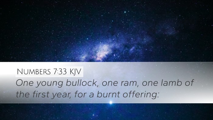 Numbers 7:33 Bible Commentary