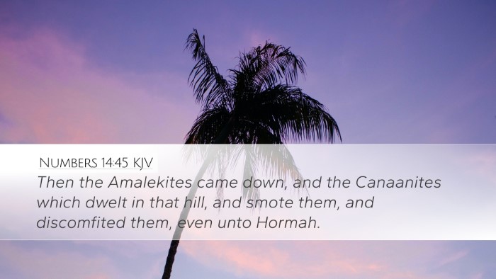 Numbers 14:45 Bible Commentary