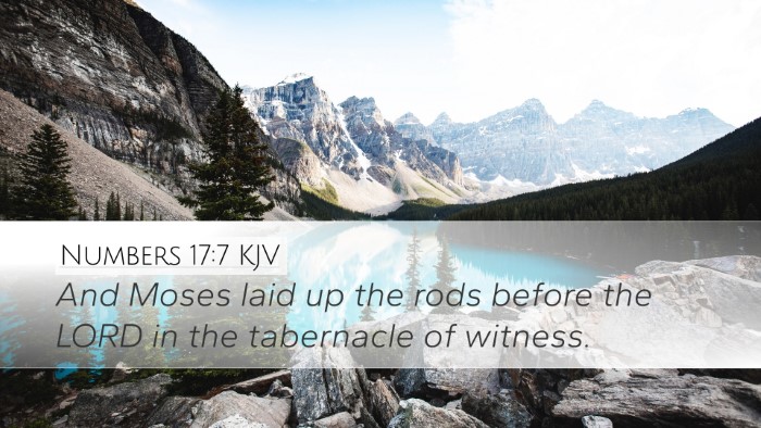 Numbers 17:7 Bible Commentary