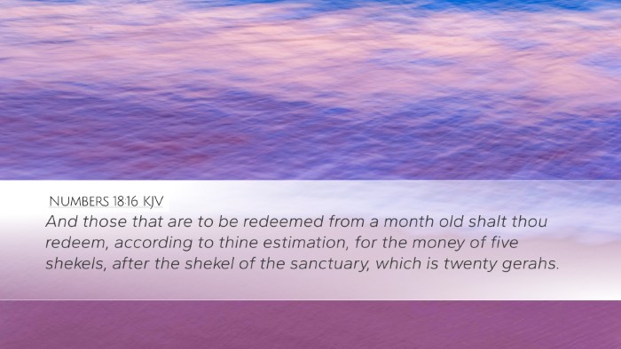 Numbers 18:16 Bible Commentary