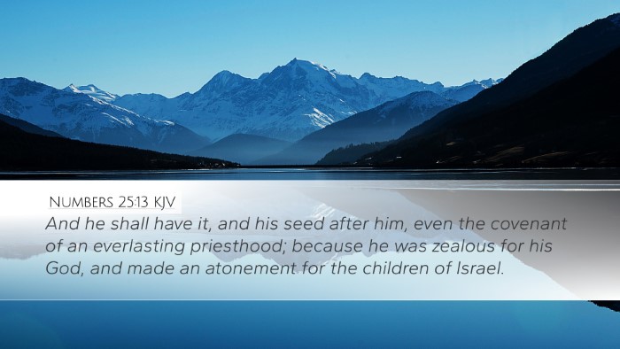 Numbers 25:13 Bible Commentary